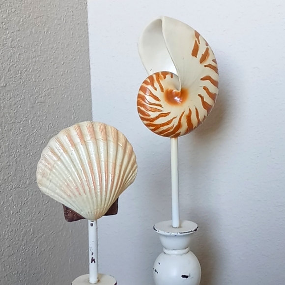 "SHABBY CHIC" Shell Decor - Picture 5 of 12